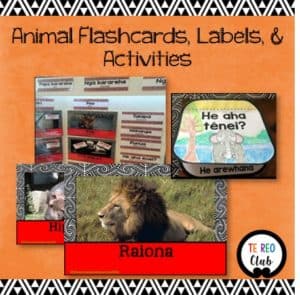 animal flashcards labels activities maori